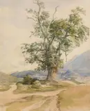 Joseph Höger, Landscape with old tree, in the background view of Gaisberg and Großgmain, watercolour on paper