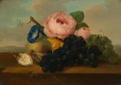 Franz Xaver Petter, Floral piece with grapes, oil on panel