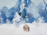 Stepan Fedorovic Kolesnikoff, Wolf in winter landscape, gouache on cardboard