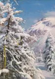 Peder Mørk Mønsted, Winter splendour (Morteratsch in Graubünden in Switzerland), 1920, oil on canvas; framed