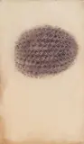 Hans Bischoffshausen, Espace concentré