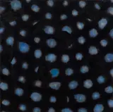 Ross Bleckner, Untitled (RB-6639), 2014, oil and ink on canvas; framed