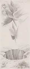 Anton Lehmden, Untitled, 1965, pencil on paper; framed