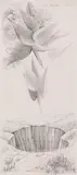 Anton Lehmden, Untitled