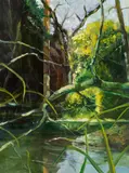 Martin Schnur, Untitled, 2008, acrylic on canvas; unframed