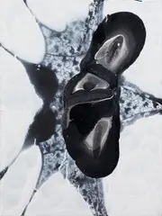 Christian Eisenberger, Untitled, 2010, acrylic on canvas; unframed