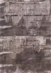 Erwin Bohatsch, Untitled, 2007, mixed media on paper; framed