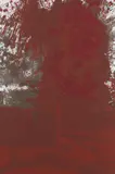 Hermann Nitsch, Levitikus