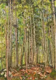 Edith Kramer, Woodland scenery, 1983, oil on canvas; framed