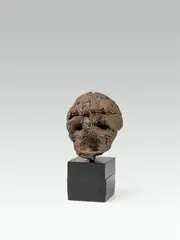 Sepp Auer, Head
