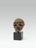 Sepp Auer, Head