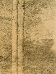 Hermann Staudinger, Wald XXVI, 2022, unique engraving (grattage on 24 carat gold leaf on wood); framed