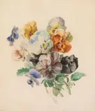 Josef Neugebauer, Pansies, 1885, watercolour on paper