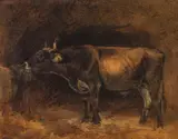 Friedrich Gauermann, Ox in the stable, oil on paper on canvas