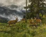 Josef Schmitzberger, Herd of deer in the morning fog, oil on canvas