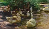 Alexander Koester, In sonnigem Wasser, oil on canvas