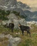 Josef Schmitzberger, Chamois in the mountains, oil on canvas