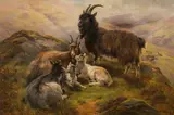 William Watson, A herd of goats in the Scottish Highlands, 1883, oil on canvas