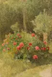Franz Rumpler, Pfingstrosen mit Rasenstück, 1903, oil on panel
