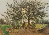Theodor von Hörmann, Blühender Obstbaum. Studie