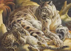 Norbertine Bresslern-Roth, Schnee-Leopard, 1939, oil on jute