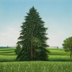 Josef Bramer, Fir tree in a summer meadow, 1988, watercolour, gouache on paper; framed