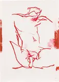 Hannes Mlenek, Physical Dynamics, 2008, oil crayon, acrylic on paper; framed