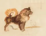 Chow-Chow wagging its tail by Ludwig Heinrich Jungnickel, watercolour and charcoal on paper, sold Apr 2022