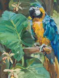 Carl Fahringer, Parrot