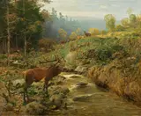 Christian Johann Kröner, Deer herd at a forest stream, 1899, oil on canvas