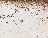 Hermann Nitsch, Untitled, 1986, mixed media on paper, laminated on canvas; framed