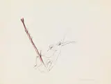 Oswald Oberhuber, Untitled