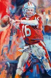 Voka, Joe Montana, acrylic on linen; framed