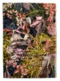 Michaela Spiegel, Violet vagina flowers on mellow yellow, 2021, pastel on paper; framed