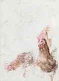 Ramona Schnekenburger, Three hens