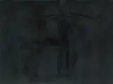 Walter Navratil, Der schwarze Christus
