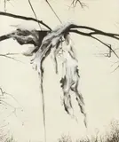 Thomas Riess, Gehänge, 2017, oil on canvas; framed