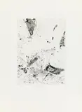 Max Weiler, Karst