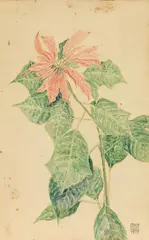 Erwin Dom Osen, Flower, 1909, watercolour on paper