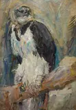 Carl Fahringer, Eagle