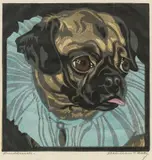 Norbertine Bresslern-Roth, Pug, colour linoleum cut on paper