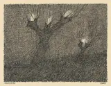 Paul Flora, Irrlichter, India ink on paper