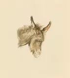 Head of a donkey by Ludwig Heinrich Jungnickel, charcoal and watercolour on paper; unframed, sold Mar 2022