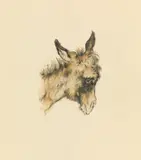 Head of a donkey by Ludwig Heinrich Jungnickel, charcoal and watercolour on paper; unframed, sold Mar 2022