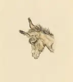 Head of a donkey by Ludwig Heinrich Jungnickel, charcoal and watercolour on paper; unframed, sold Mar 2022