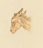 Head of a donkey by Ludwig Heinrich Jungnickel, charcoal and watercolour on paper; unframed, sold Mar 2022