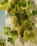 Franz Xaver Wolf, Grapes, oil on panel