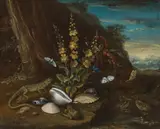 Karl Wilhelm de Hamilton, Still life of forest ground with lizard, butterflies and shells, oil on canvas