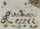 Jan van Kessel the Elder, Signature of van Kessel, formed from animals, oil on panel