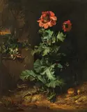 Otto Marseus van Schrieck, Forest floor still life with poppy, lizard and snake, c. 1670, oil on canvas